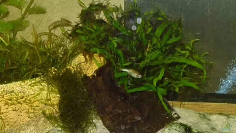 Sandzone am 14.09.2006 von Sabine Stark (18)