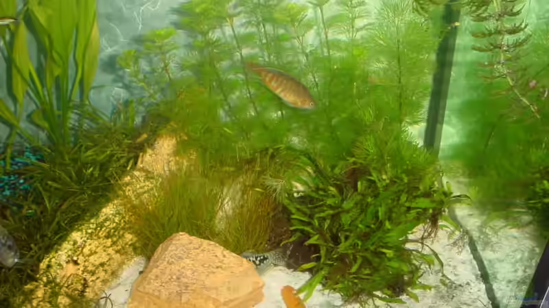 Sandzone am 15.10.2006 von Sabine Stark (20)