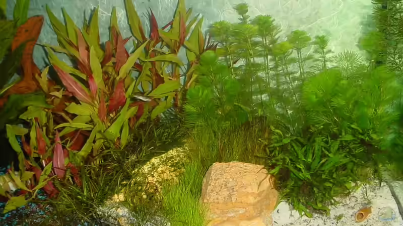 Sandzone am 16.10.2006 von Sabine Stark (21)