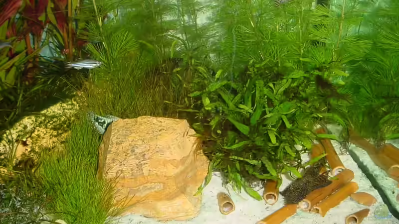 Sandzone am 24.10.2006 von Sabine Stark (23)