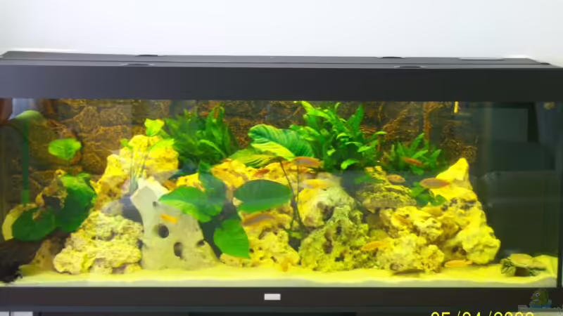 saolosi becken von Rene Nolting (1)