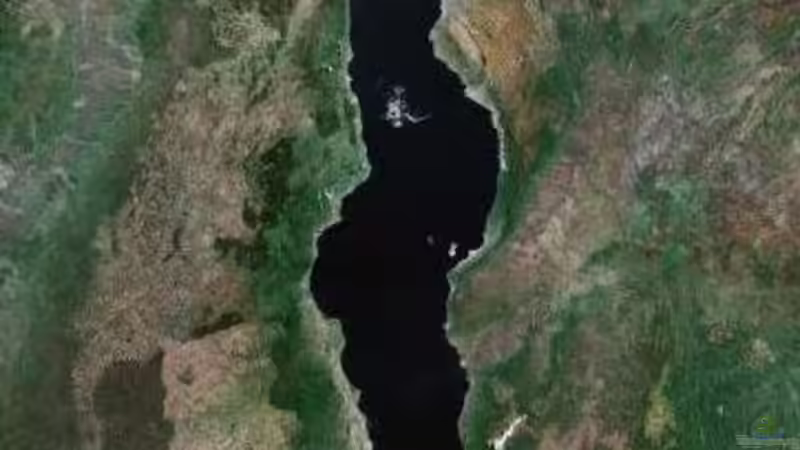 Satellitenaufnahme von lützkopf (6)