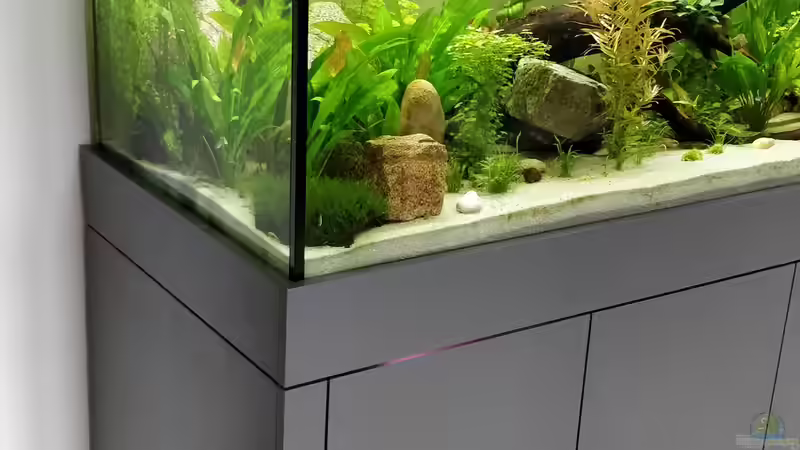 saubere Arbeit von Woidma (61)