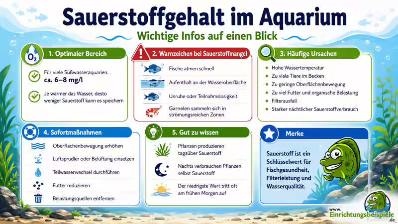 Sauerstoffgehalt im Aquarium: Bedeutung, optimale Werte und Sauerstoffmangel erkennen