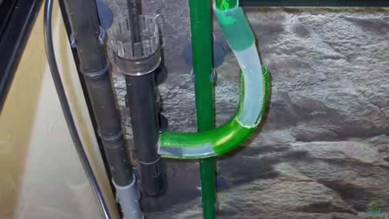 Saugseite links von Justus (14)