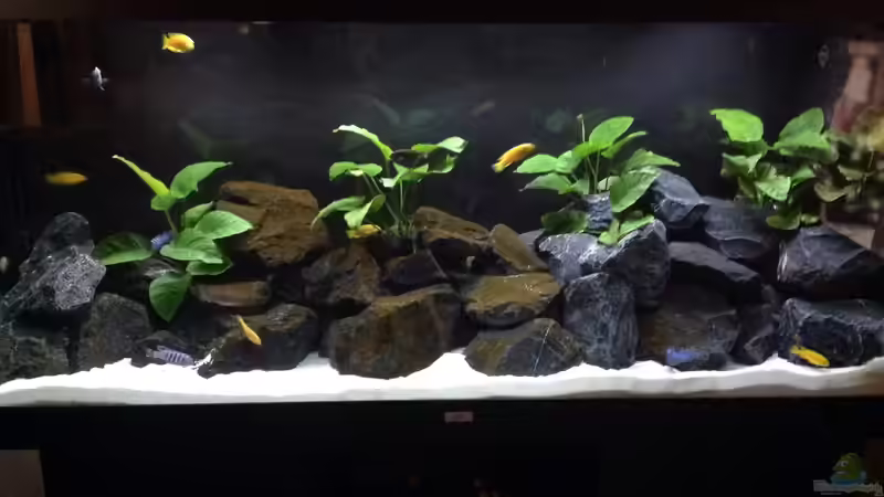 Saulosi Reef von Karl-Heinz Radtke (1)