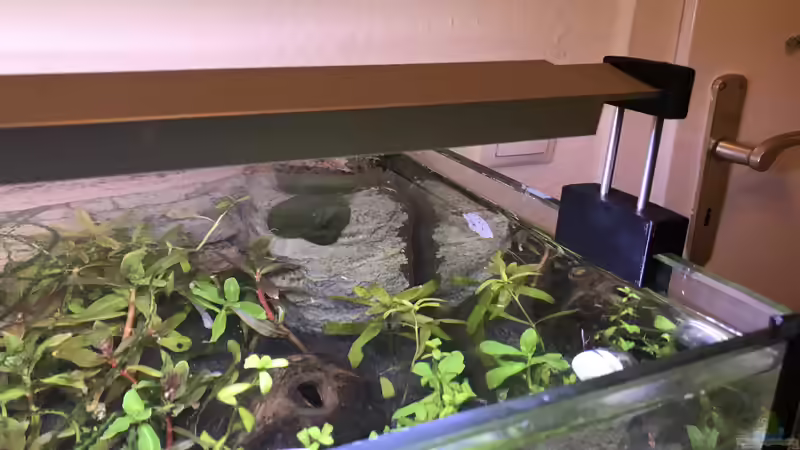 Scaping-Light Basiv Vario LED-Halter kippt die Scaping-Light Basic LED und erhöht von Tim1979 (35)