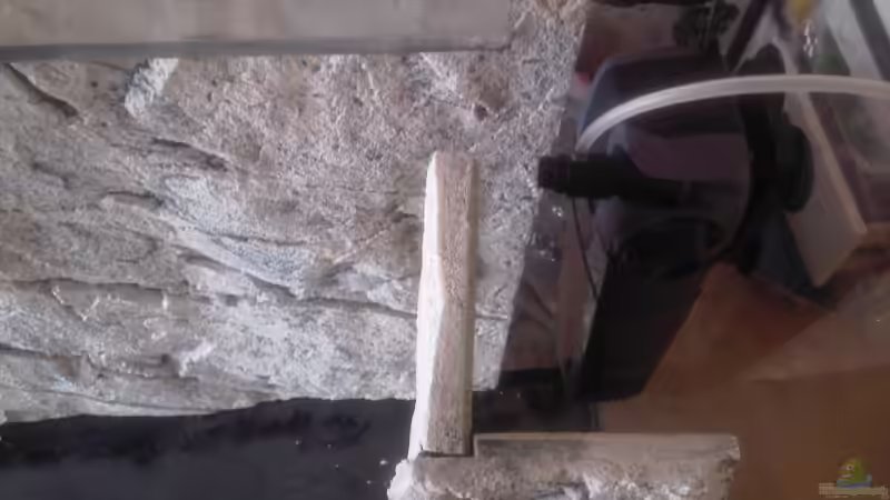 Schacht von Francesco (3)