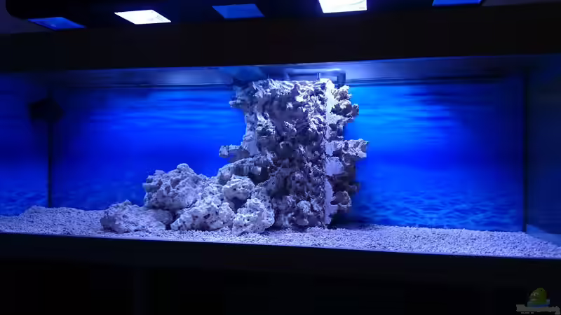 Schachtverkleidung verklebt+ Korallengrund von Wiege (18)