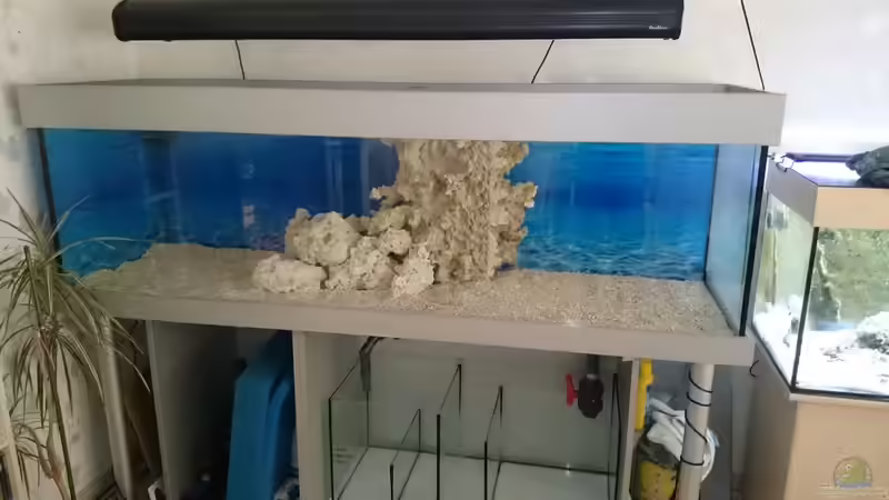 Schachtverkleidung verklebt+ Korallengrund von Wiege (19)