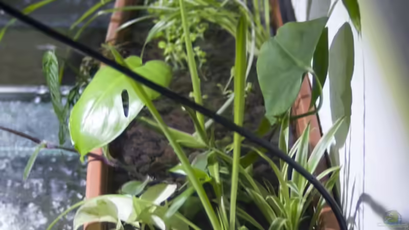 Schale im April von Leonard Georg (5)