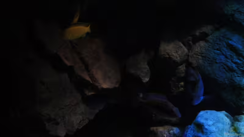 Schattenzone von Florian Bandhauer (27)