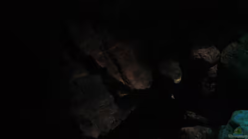 Schattenzonen wichtig bei der Einrichtung von Florian Bandhauer (29)