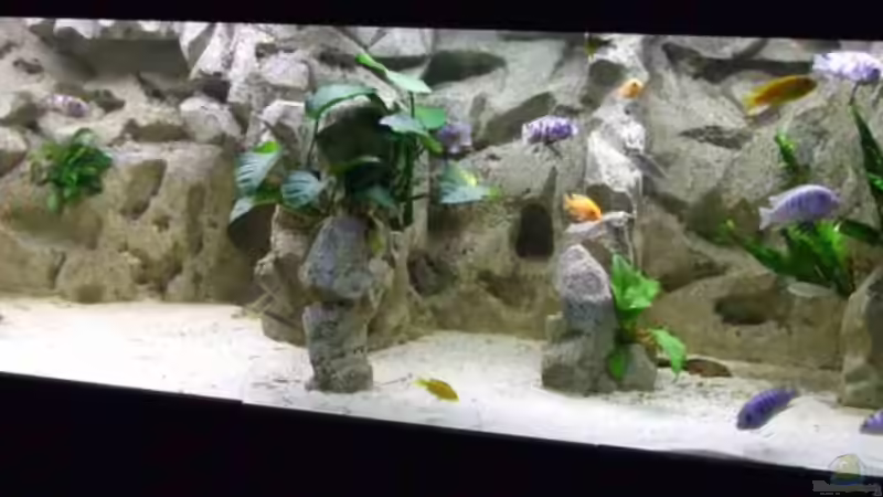 Schaubecken von Joopde (1)