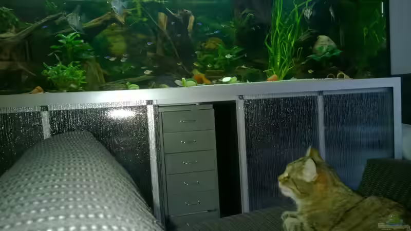 Schauen ok, anfassen nicht:) von Ba Bu (4)