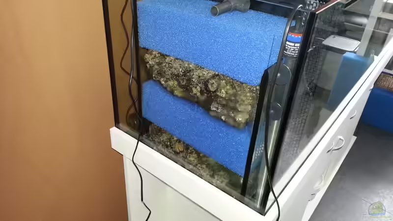 Schaumstoff grob für mechanische Filterung und Steingranulat für Biologische Filterung! von ~MISCHA WILKEN~ (20)