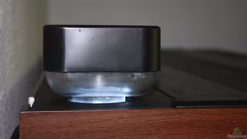 Schaumtopf von Juwel Skimmer 3.0 von Thorsten John (18)