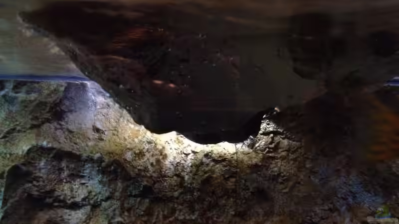 Schaut aus wie ein Raumschiff bei ´Independence Day´ von der Steirer (105)