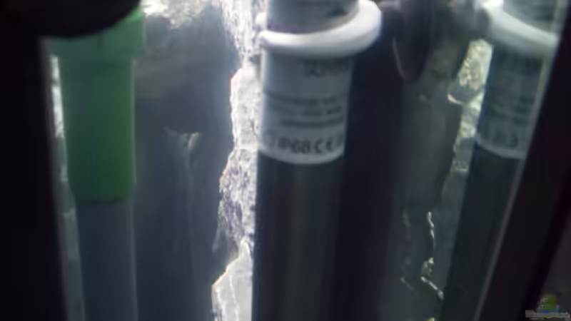 Schego Titanstab 300 Watt von Dr. Manhattan (16)