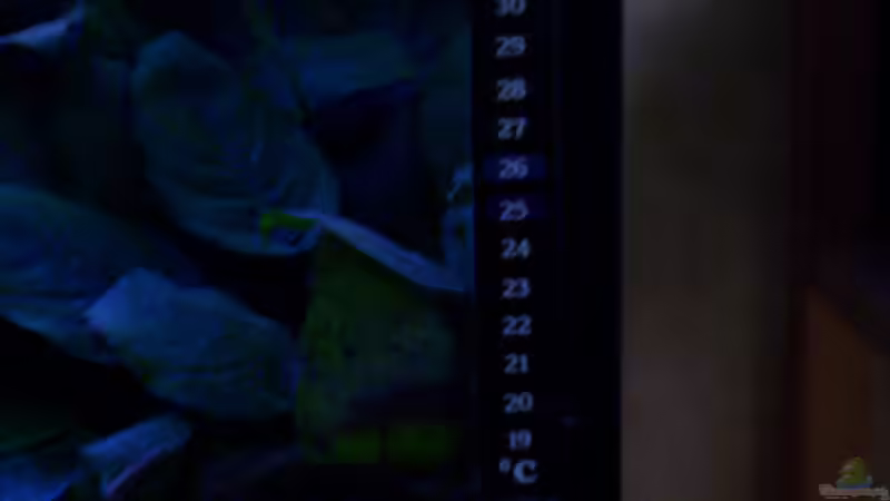 Scheiben Thermometer von Niko P. (27)