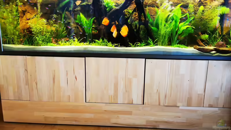 Scheibenwelt von Odonata (3)