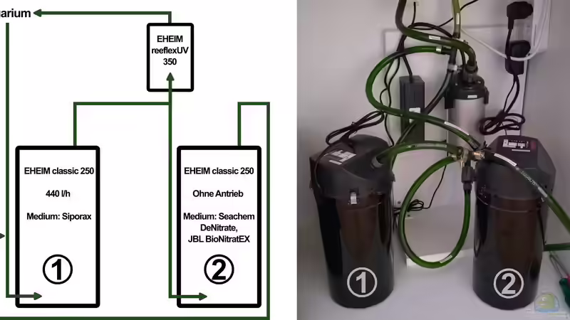Schema mit Bild des Nitrat Reduzierers 2024 von Philip (28)