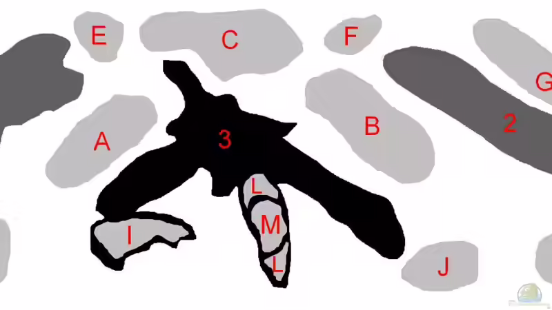 schematische Darstellung der Dekoration von Frank H. (4)