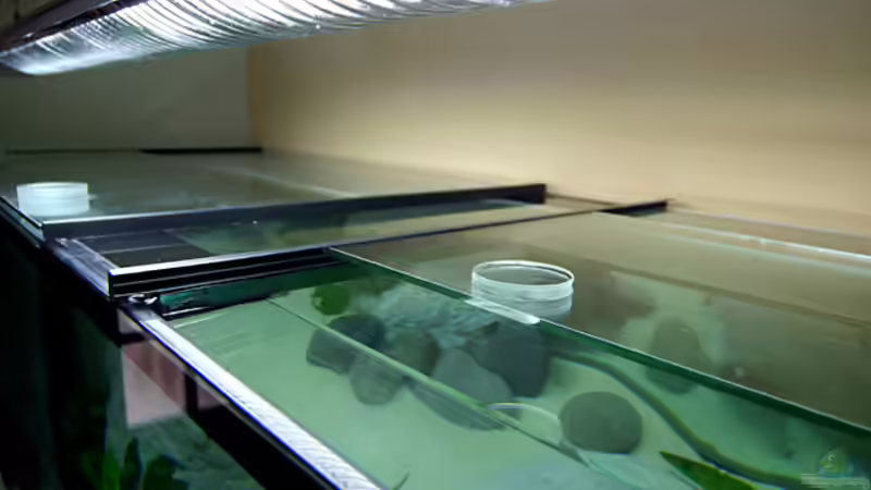 Schiebescheiben auf Schienen für ein optimales arbeiten im Becken von Bambarsch (5)