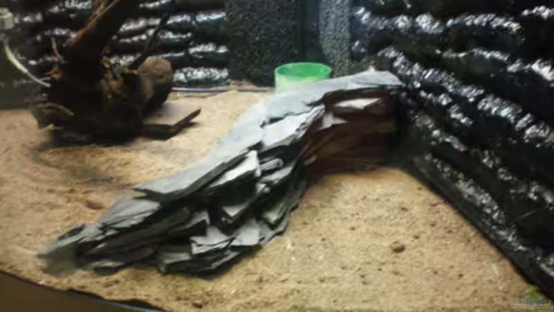 Schiefer im Aquarium richtig verkleben: Ein umfassender Leitfaden