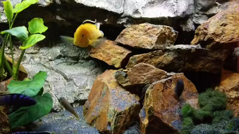 Schieferaufbauten von FunkyTraut (11)