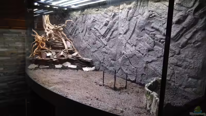 Schieferberg rein und hoffen dass der Hang nicht abrutscht beim Einfüllen des Wassers. von AdrianSoS (20)