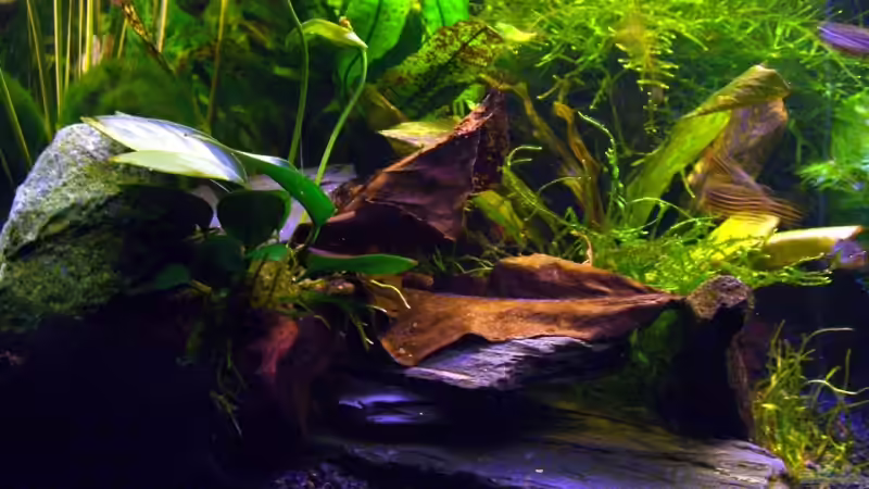 Schieferecke von Viktoria Plum (6)