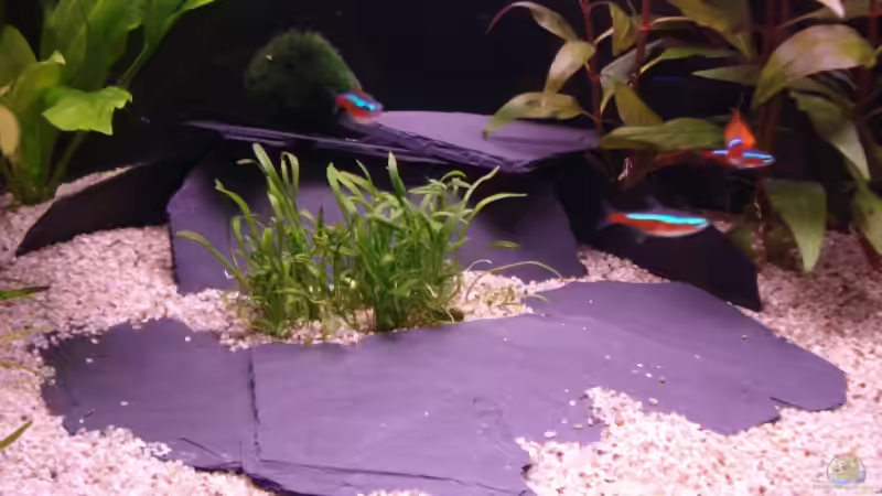 Schieferhöhle  von Bege (7)