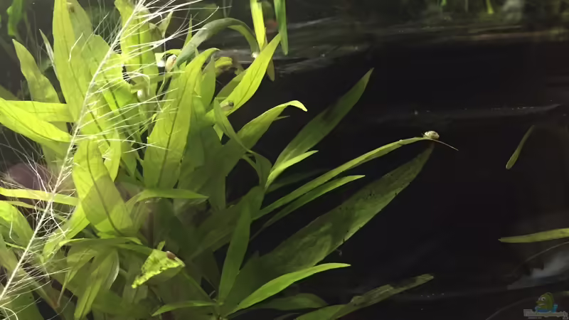 Schieferhöhlen von Danny (18)