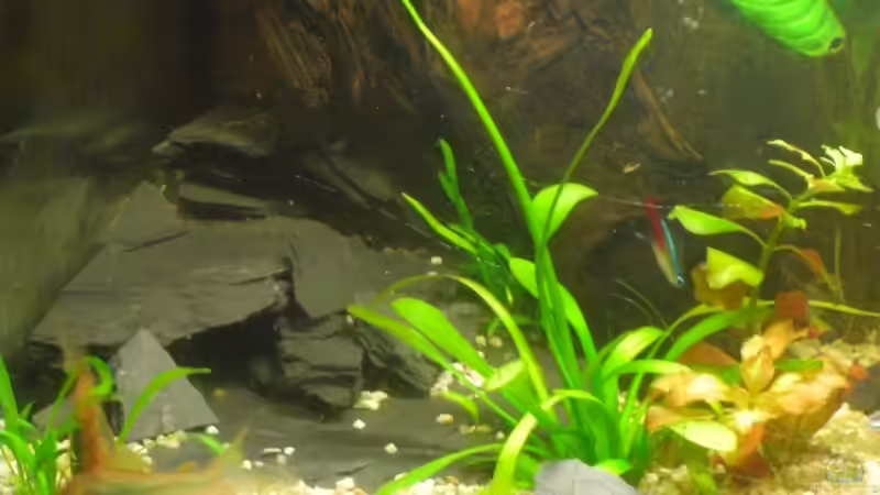 Schieferhöhlenkomplex von Layu (5)