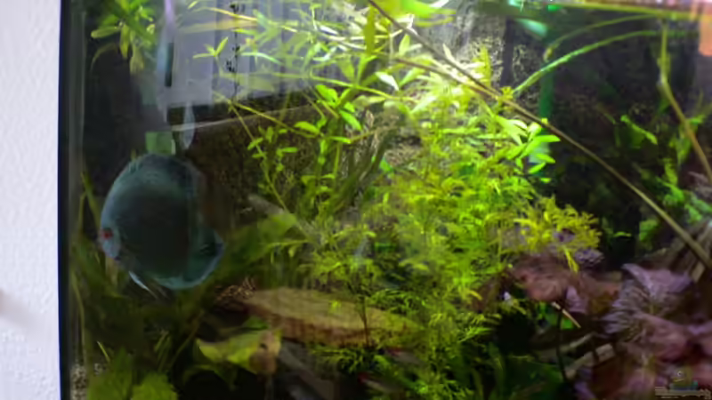 Schieferhölle von Uwe Raschke (5)