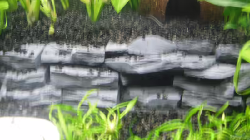 Schiefernterrasse mit Höhleneingang von Papa D.J. (10)