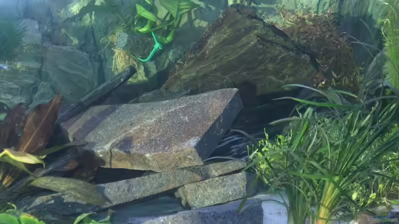 Schieferplatten-´Berg´ im mittleren Teil von Lars Lange (3)