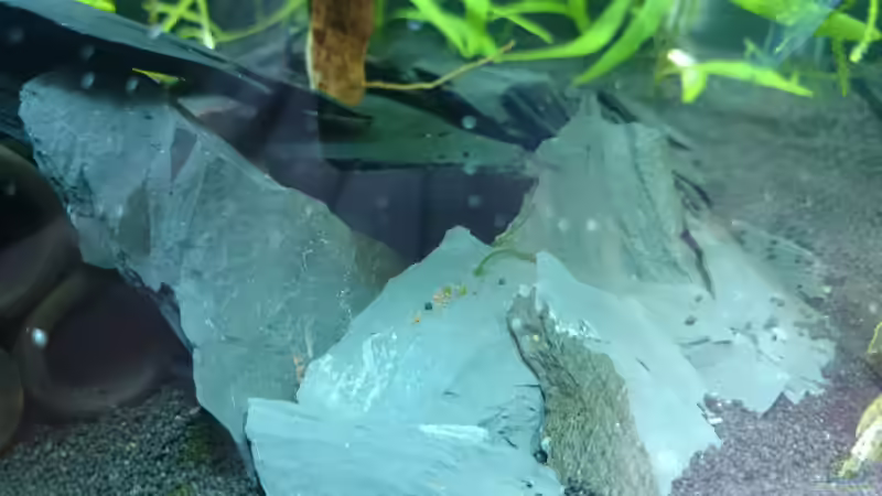 Schieferplatten-Stücke von Jahira (10)