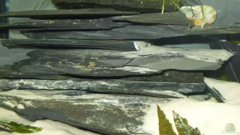 Schieferplatten von Daniel Baier (7)