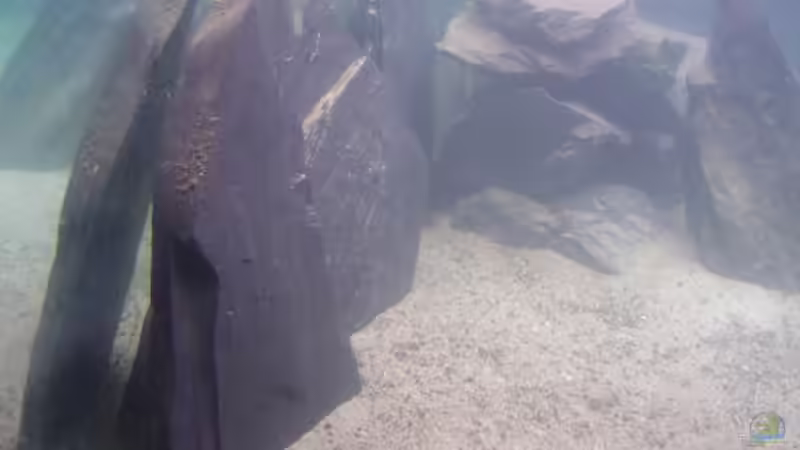 Schieferplatten von Michael Brunner (7)