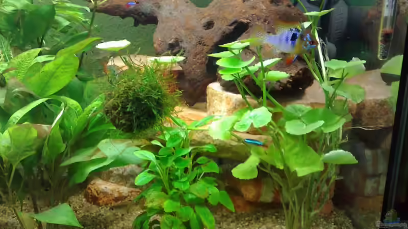 Schieferplattenhöhle von Marvao (7)