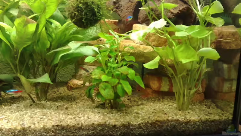 Schieferplattenhöhle von Marvao (8)