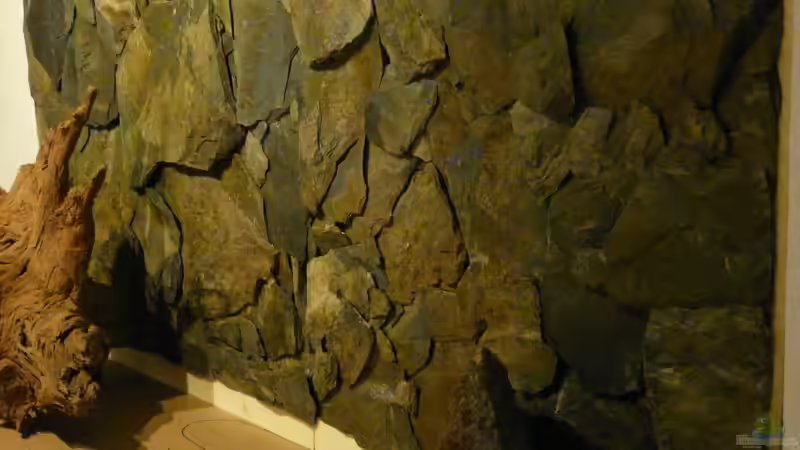 Schieferrückwand von Ravenclaw57 (23)