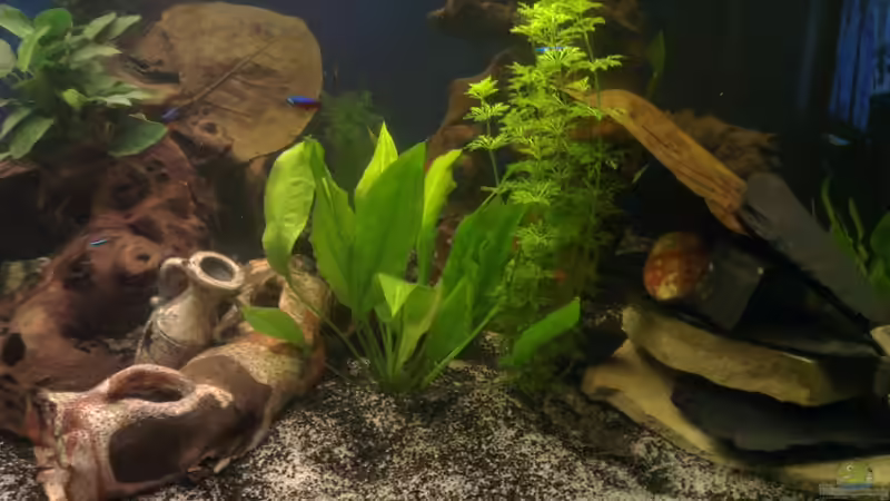 schieferstapel von Franz Napf (16)