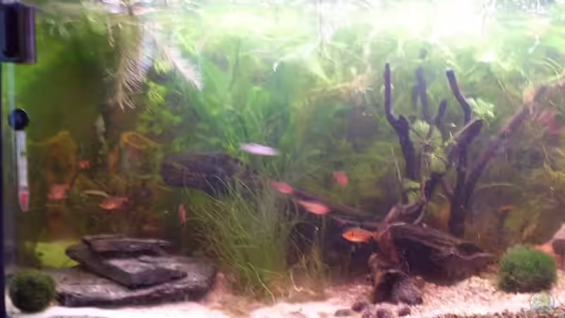 Schiefersteinaufbauten  entfernt am 21.09 von lichterschein (12)