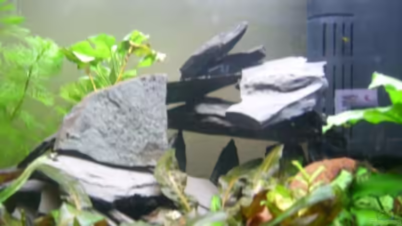 Schiefersteinbauten von Phillip Rein (7)