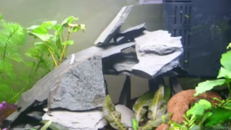 Schiefersteinbauten2 von Phillip Rein (8)