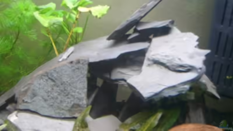 Schiefersteinbauten3 von Phillip Rein (9)