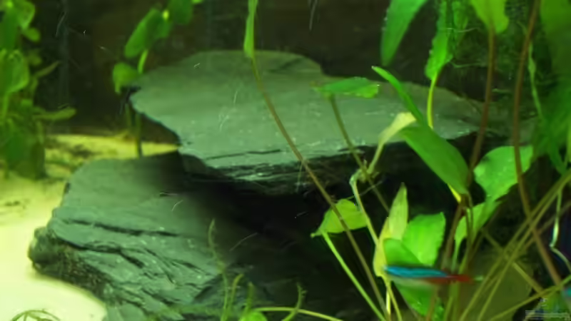 Schiefersteine von Alexander Pohl (7)